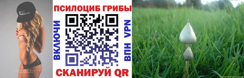 гидра ONION  купить наркотик  Афипский  Псилоцибиновые грибы Psilocybe 